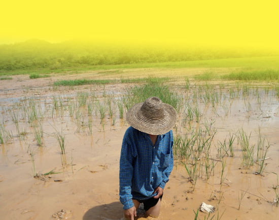 ၵေႃႁူမ်ႈသၢင်ႈ ၸဝ်ႈႁႆႈၸဝ်ႈၼႃးၸိုင်ႈတႆး shan state farmers network stop gold mining in Mong Len 2014